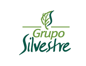 SILVESTRE PERÃš